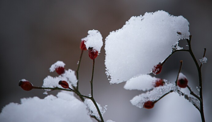 Аномальное тепло и новая волна похолодания: прогноз синоптика на новую неделю