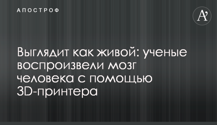 Виглядає як живий: вчені відтворили мозок людини за допомогою 3D-принтера