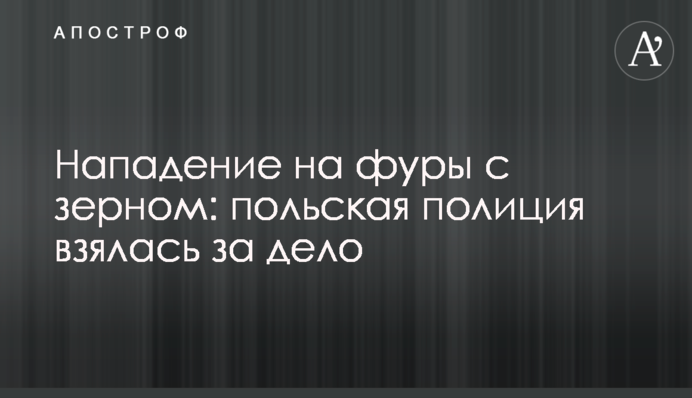 Напад на фури з зерном: польська поліція взялася за справу