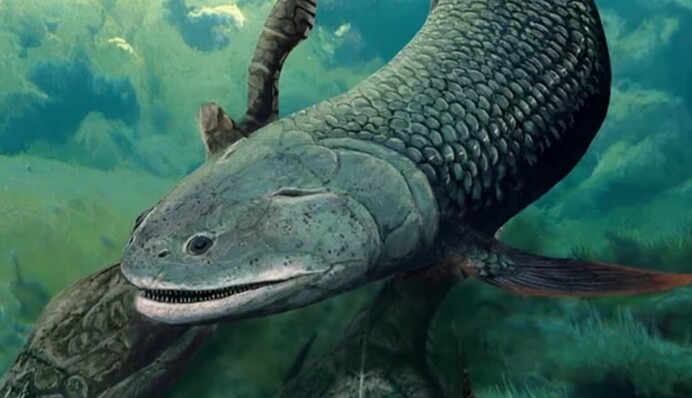 Дихала повітрям і мала чотири 