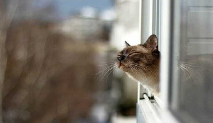 Тумани і дощі розмиють тепло: яку погоду принесе вівторок, карта