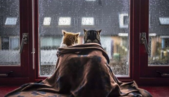 Зима возвращается: в Укргидрометцентре предупредили об изменении погоды и назвали дату нового потепления