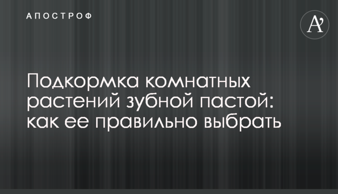 Підживлення кімнатних рослин зубною пастою: як її правильно вибрати
