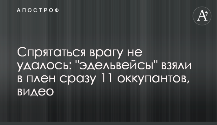 Спрятаться врагу не удалось: 