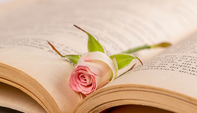 В чем разница между 