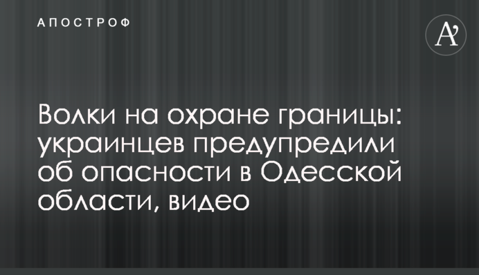 Вовки на охороні кордону: українців попередили про небезпеку на Одещині, відео