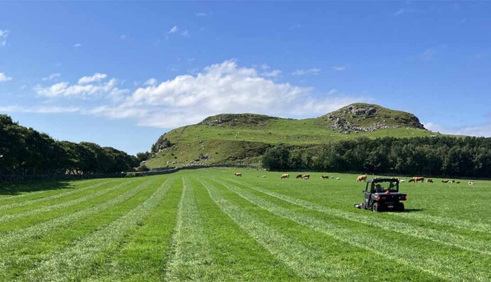 На цьому місці міг бути велелюдний ринок: археологи натрапили на древні поселення вікінгів в Норвегії, фото