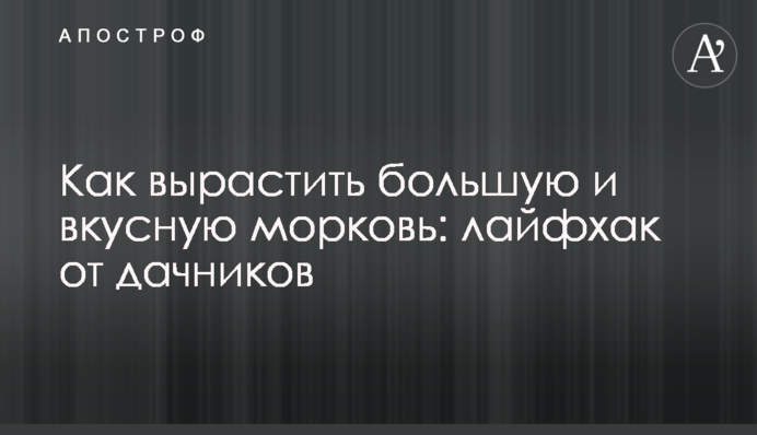 Как вырастить большую и вкусную морковь: лайфхак от дачников