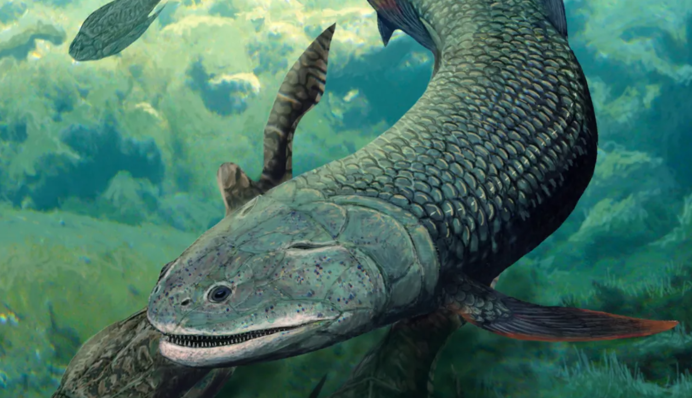 Могла дышать воздухом? Ученые нашли рыбу с ноздрями, жившую 380 млн лет назад