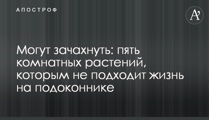 Могут зачахнуть: пять комнатных растений, которым не подходит жизнь на подоконнике