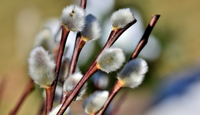 В Украину идет потепление: синоптик дала новый прогноз