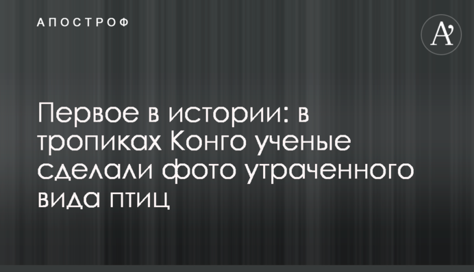 Первое в истории: в тропиках Конго ученые сделали фото утраченного вида птиц