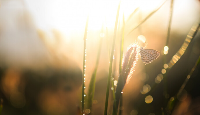 В Киеве пройдут дожди со снегом: когда в столице установится солнечная погода