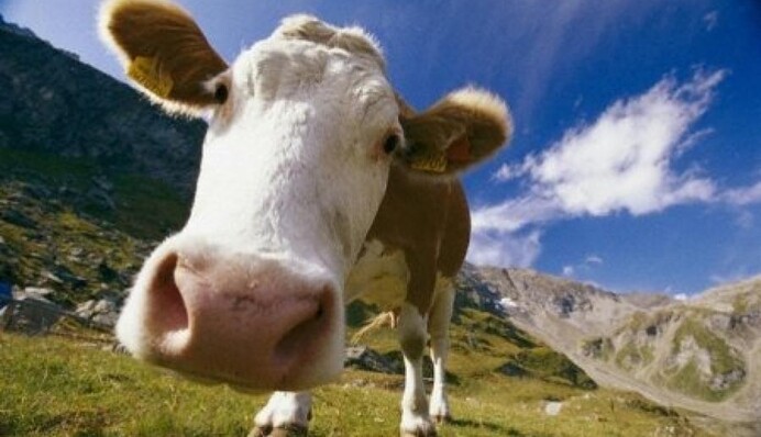 Яке церковне і народне свято 24 лютого: прикмети та заборони