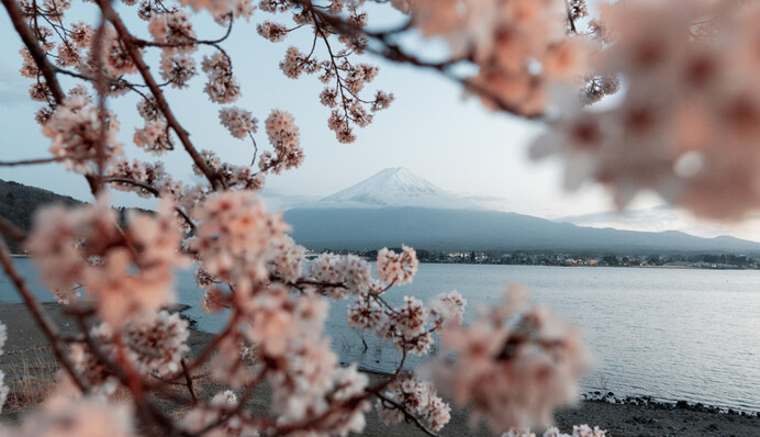 Вдень, як у середині березня: синоптик розповів про погоду у перший тиждень весни