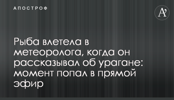 Рыба влетела в метеоролога, когда он рассказывал об урагане: момент попал в прямой эфир