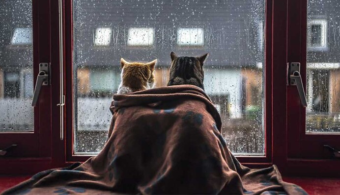 Последняя неделя зимы начнется похолоданием: прогноз синоптиков на понедельник, карта