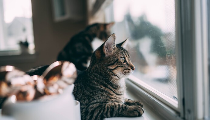 В частину України прийде справжнє весняне тепло: прогноз на 28 лютого