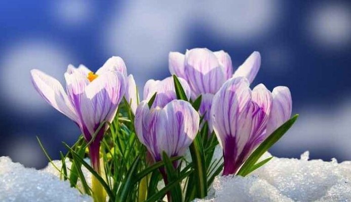 В части Украины будет настоящее лето: прогноз погоды на последний день зимы