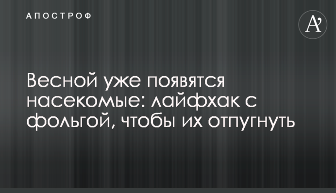 Навесні вже з'являться комахи: лайфхак з фольгою, щоб їх відлякати