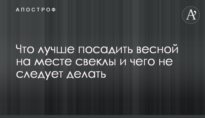 Как сажать свеклу и другие овощи: важные нюансы и чего не стоит делать
