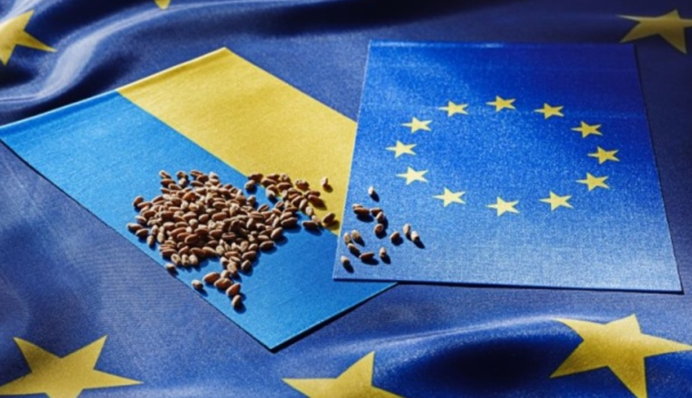 Хотят успокоить фермеров? ЕС принял решение по экспорту зерна из Украины