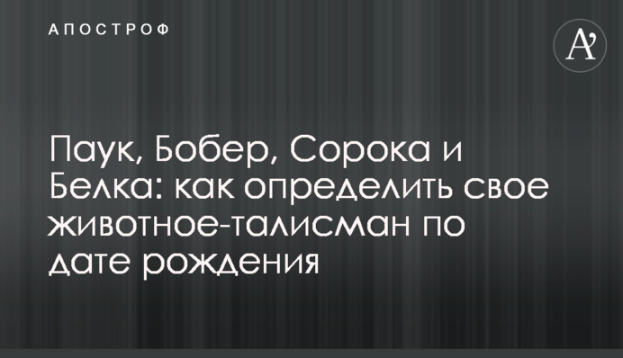 Паук, Бобер, Сорока и Белка: как определить свое животное-талисман по дате рождения