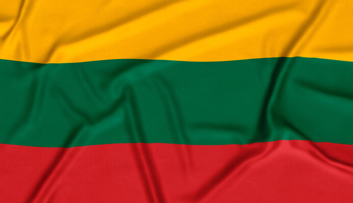 Скільки українців у Литві повернуться додому: дані дослідження