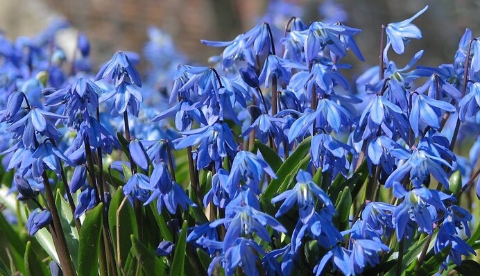 Тепло и без осадков: синоптики дали прогноз на первое воскресенье марта