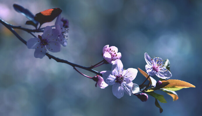 Температура впаде на 10 градусів: синоптик дав прогноз на перший тиждень весни