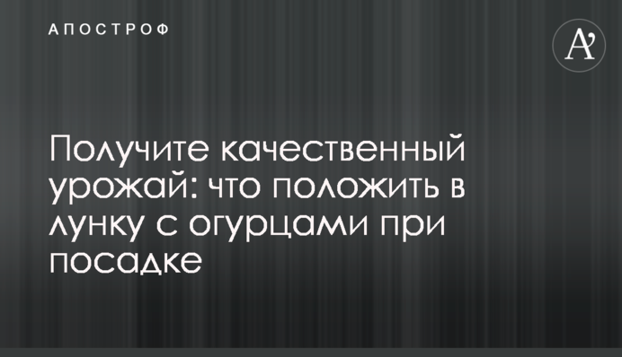 Получите качественный урожай: что положить в лунку с огурцами при посадке