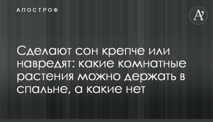 Сделают сон крепче или навредят: какие комнатные растения можно держать в спальне, а какие нет