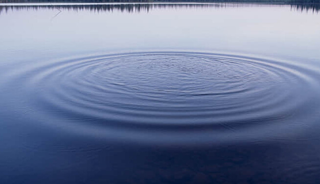 На Київщині знайшли тіло рибалки, який зник три дні тому: подробиці трагедії