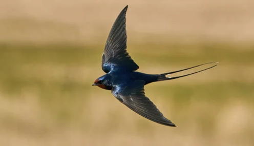 Ссоры в этот день особенно опасны: какой праздник 7 марта и что нельзя делать в этот день