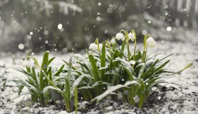 Морози прийдуть надовго: коли чекати потепління і справжнього весняного тепла