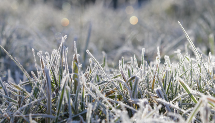До -5 и местами дожди: в Украину пришло похолодание, карта