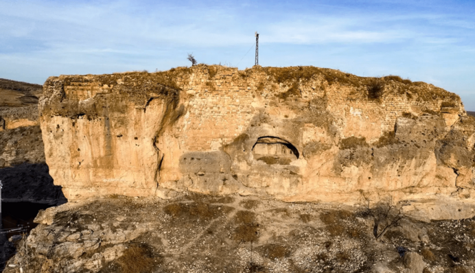 Напоминает доллар: в Турции обнаружили необычную окаменелость