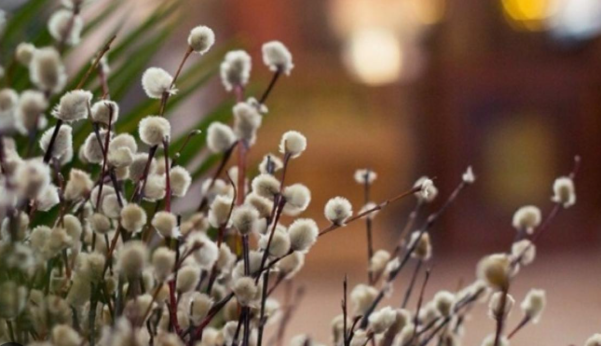 Магический ритуал прогонит негатив: какой церковный праздник 8 марта и что надо сделать в этот день