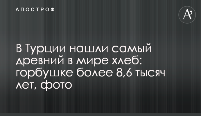 В Турции нашли самый древний в мире хлеб: горбушке более 8,6 тысяч лет, фото