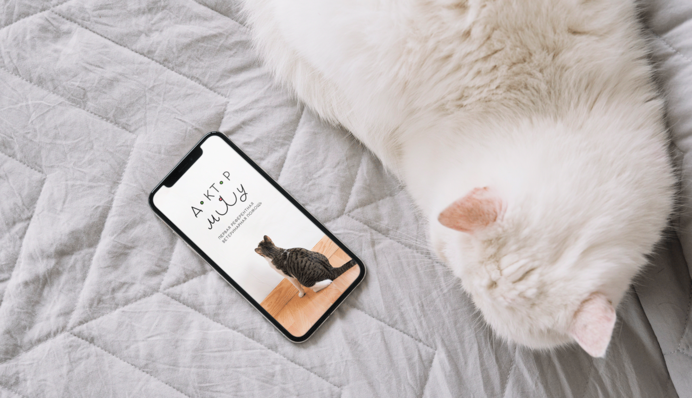 Будет иметь негативные последствия: почему смартфон не следует бросать на кровать