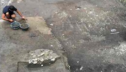 У Швейцарії знайшли найдавніші сліди плуга в Європі: фото