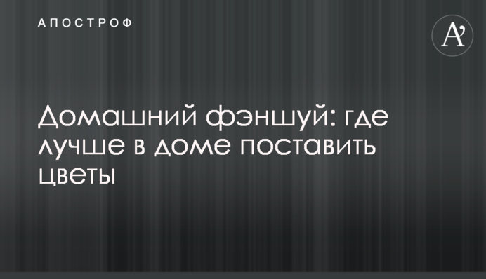 Домашний фэншуй: где лучше в доме поставить цветы