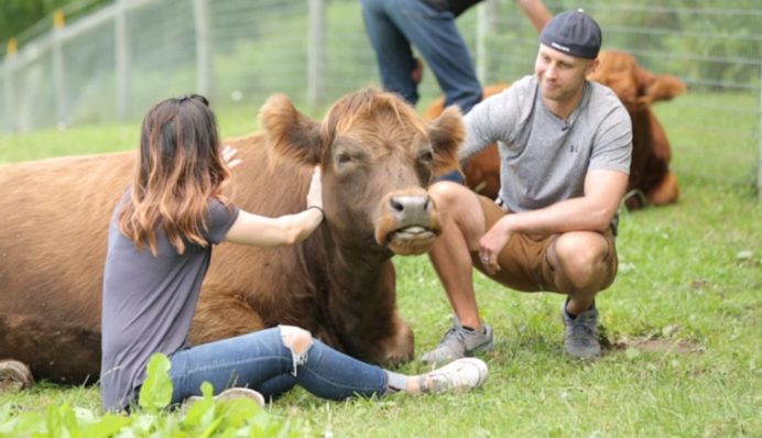 Забота о животных в этот день имеет магическую силу: какой праздник 14 марта и что нельзя делать