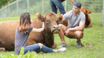 Забота о животных в этот день имеет магическую силу: какой праздник 14 марта и что нельзя делать