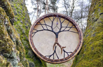 Какую силу вам даровала природа: проверьте, кто вы по кельтскому гороскопу