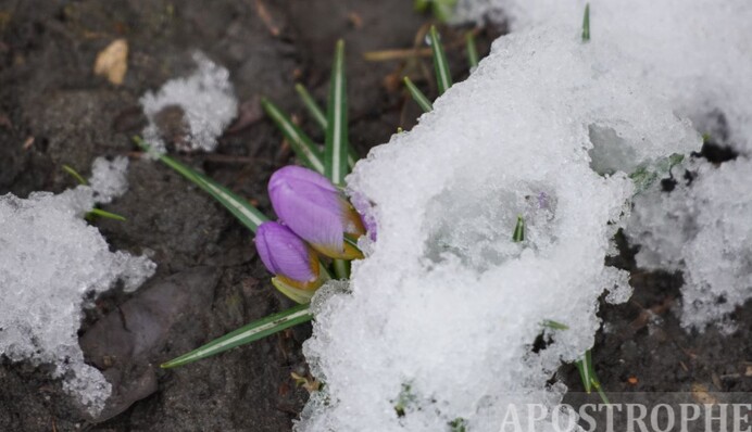 В Киев в марте вернулась зима: фотозарисовки со столичных улиц