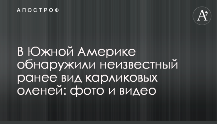 У Південній Америці знайшли невідомий раніше вид карликових оленів: фото і відео
