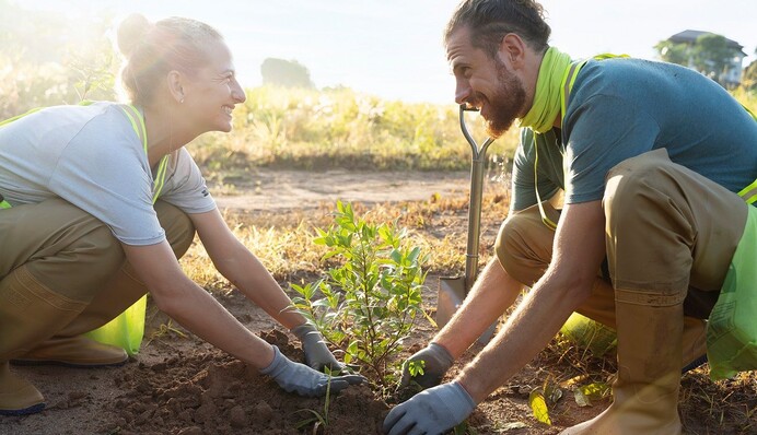 Что можно посеять и посадить на огороде во второй половине марта: советы опытных дачников