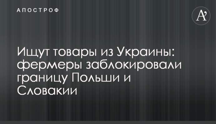 Ищут товары из Украины: фермеры заблокировали границу Польши и Словакии
