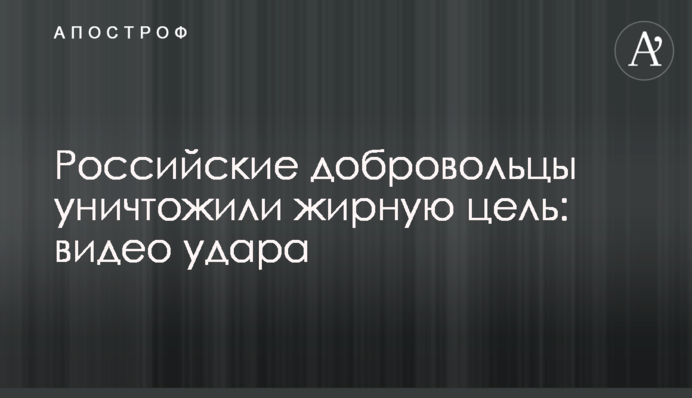 Российские добровольцы уничтожили жирную цель: видео удара